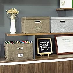 JSungo File Box with 5 Hanging Filing