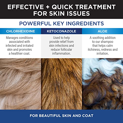 pyoderma dog shampoo