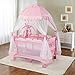 Big Oshi Portable Playard Deluxe Bundle - Nursery Center With Canopy Net Topper - Medium Size - Lightweight, Compact Design, Includes Carry Bag - Perfect for Indoor or Outdoor Backyard Use, Pink