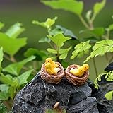 Floralby Fairy Garden Kit, Miniature Birds DIY Dollhouse Fairy Garden Ornament