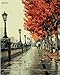 Colour Talk Framed Canvas of Paint by Numbers Kits for Adults and Kids - Romantic Love Autumn 16x20 inch