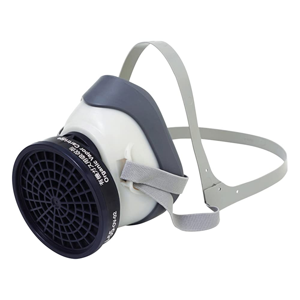 Mua 3M 1200/ 3301J55 Mask Set For Work Involving Organic Solvents