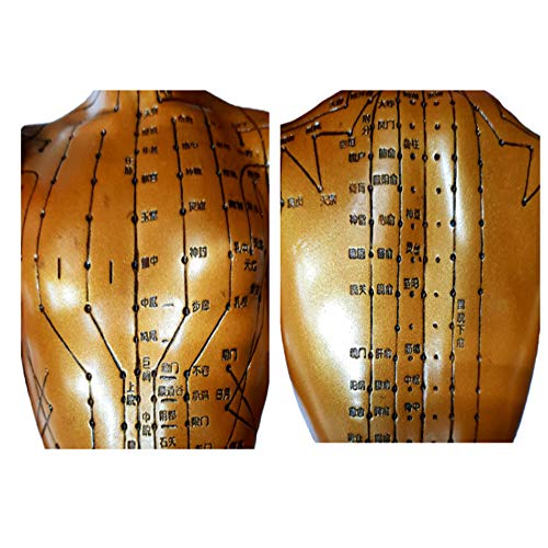 image for H.E 50cm(20