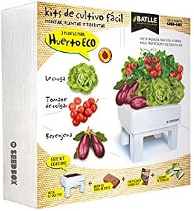 Huerto Urbano - Seed Box Huerto - Batlle: Amazon.es: Jardín