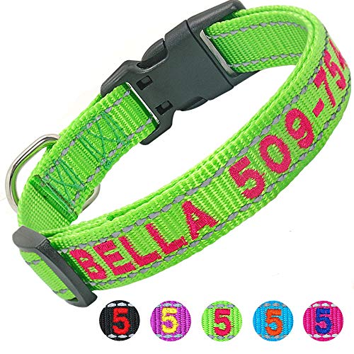 Didog Personalized Embroidered Dog Collar with Pet Name & Phone Number, Reflective Custom Dog Collar for Small Medium Large Dogs,Green Collar,Hot Pink Thread