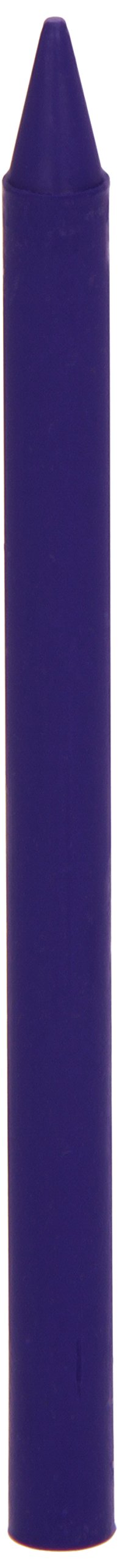 BIC 816972 â€“ Box of 25 Pencils Plastidecor 05, Purple, 1 Unit