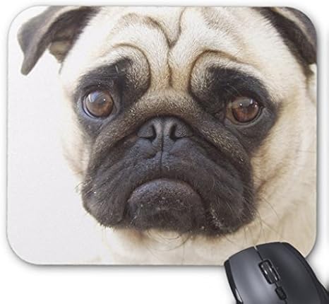 Amazon Co Jp パグ犬マウスパッド面白いゲームマウスマットオフィスマウスマットコンピュータアクセサリー パソコン 周辺機器