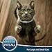 Premium Care Flea And Tick Collar For Cats | Prevents And Removes Fleas, Ticks, Lice And Mosquitos In 24 Hours | 8 Months Protection | 100% Natural Essential Oil Flea And Tick Prevention For Cats