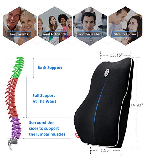 Gugusure Memory Foam Lumbar Support Pillow, Breathable Mesh Back Cushion with Ergonomic Designed for Low Back Pain Relief, Orthopedic Backrest for Car Seat, Office Chair, Wheelchair and Recliner