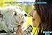 Mindful Pets Dog Tear Stain Remover – Most Effective White Fur Eye Treatment – Best Solution for Removing Saliva, Mucus and Stains Build Up in Maltese, Chihuahua, Shih Tzu and Alike, 8oz
