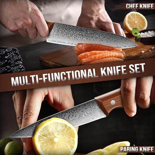 DRAGON RIOT Damastmesser Set, Küchenmesser Set aus 67 Lagen Damaststahl mit Ergonomischer Griff, 2-teilig Messerset Damast, Japanisches Messerset, Scharfes Kochmesser und Gemüsemesser für Küche thumbnail 2
