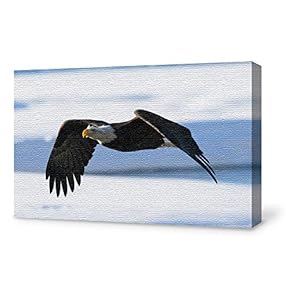 Canvas Wall Art for Living Room,Bedroom Home Artwork Paintings Snow Eagle Ready to Hang - 12x18 inches