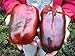 Seeds Sweet Pepper Krasnyy Velikan - Red Giant Russian Heirloom NON-GMO