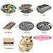 sharllen 300g(10.5oz) Apple Sticks (About 90 Sticks) Pet Chew Toys for Rabbits Chinchilla Guinea Pigs by