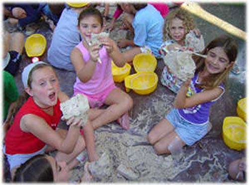 Fossil Mineral Gemstone Excavation Dino Dig Kit - 200+ Real Specimens - Thumbnail 7