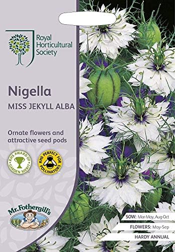 Amazon 輸入種子 Mr Fothergill S Seeds Royal Horticultural Society Love In A Mist Nigella Miss Jekyll Alba Rhs ニゲラ ミス ジーキル アルバ ミスター フォザーギルズシード 花