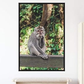 signwin Framed Canvas Wall Art Monkey Animals Expressive...