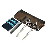 AuroTrends Professional Barber Razor Edge Hair Cutting Shears set, Hairdressing Scissors and Hair Thinning Scissors/Shear Set+ Free Case/Hairclips/Comb/Cleaning Cloth (Blue)