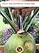 YOUNG COCONUT OPENER TOOL - The Knife or Blade Is made of stainless steel with rubber coated handle for Comfort. Coconut water is great for On the Go Snack!