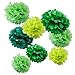 WYZworks Set of 8 (Assorted Green Color Pack) 8