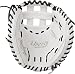 Rawlings Liberty Advanced Softball Glove Series