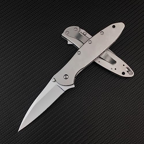 Everyday Carry Leek Pocket Knife, 2.8 inch 5Cr15 Mov Blade and