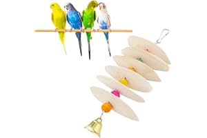 DQITJ Bird Cuttlebone Chew Toy, Natural Bird Calcium Cuddle Bone for Parrot Cockatiel Budgie Conure Sharp Beaks (6 Pcs in a Bunch)