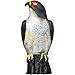 Hoont Garden Scarecrow Eagle Decoy by with Scary Flashing Eyes and Frightening Sound Pest Repellent – Motion Activated and Solar Powered – Realistic Predator Repels All Pests; Birds, Squirrels, Etc.