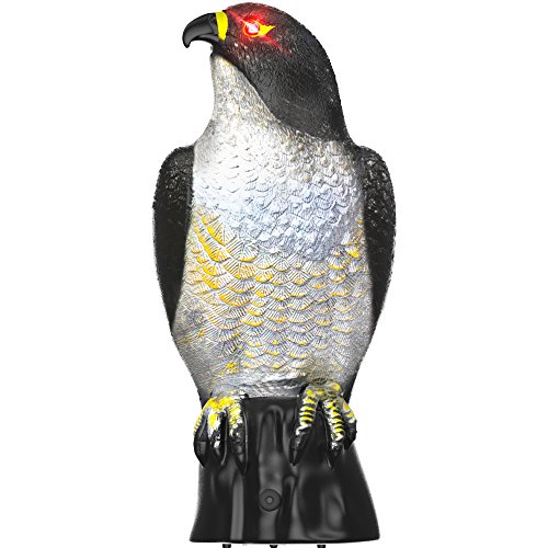 Hoont Garden Scarecrow Eagle Decoy by with Scary Flashing Eyes and Frightening Sound Pest Repellent – Motion Activated and Solar Powered – Realistic Predator Repels All Pests; Birds, Squirrels, Etc.