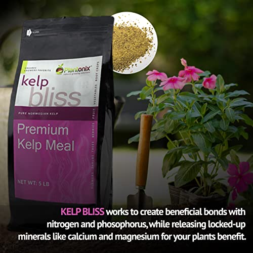 Kelp Bliss Pure Kelp Meal Organic Kelp Fertilizer for Growing Healthy Plants, Crops, and
