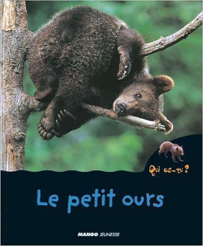 qui-es-tu-le-petit-ours