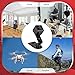 Mini Hidden Wireless 1080p Video Security Spy Camera for Indoor/Outdoor Surveillance - Free 32GB Card - Portable Small Eye Micro in Home Nanny Cam - Night Vision/Motion Detection Minicamera- No WiFi