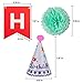 Outgeek Happy Birthday Banner Decorations Party Supplies, Birthday Party Decorations with Happy Birthday Banner Letters, Tissue Pom Poms Flowers, Star Paper Garland Happy Birthday Hat
