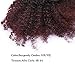 Lacerhair Afro Kinky Curly Human Hair Ponytail Hair Extensions 3C 4A 4B Coily Natural Remy Clip in Drawstring Ponytail Puff Hair One Piece For Black Women 10-20 inch (14 inch, 1B/99J Afro CUrly)