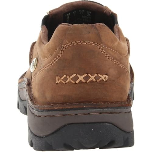 irish setter borderland