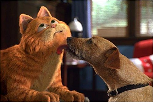 Garfield - Le Film - Pack