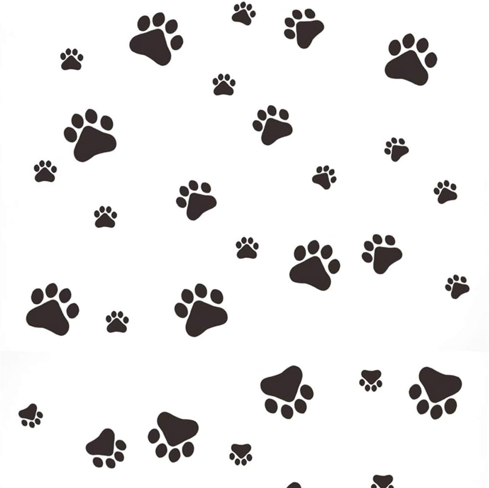a cat paw print