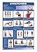 Stretching-Upper Body Laminated