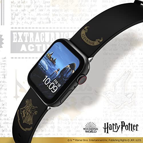 harry potter iwatch