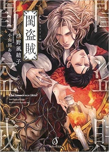 閨盗賊 Splush文庫 沙野風結子 小山田あみ 本 通販 Amazon