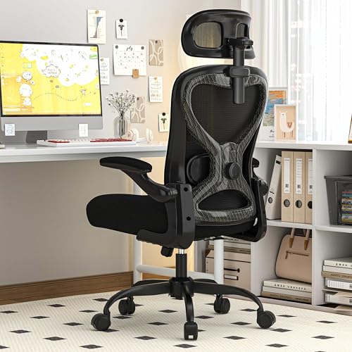 CASASIO Office Chair