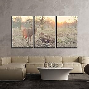 3 Piece Canvas Wall Art - Buck with Big Antlers in The Wild - Modern Home Art Stretched and Framed Ready to Hang - 16"x24"x3 Panels