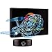 3D Optical Illusion Night Light - 7 LED Color Changing Lamp - Cool Soft Light Safe for Kids - Solution for Nightmares - Star Trek USS Starship Enterprise