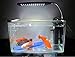 MingDak Aquarium Light for Fish Tanks Clip on Fish Tank Light 48 LEDs White & Blue for 1-5.5 Gallon