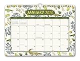 Orange Circle Studio 2020 Deluxe Wall Calendar, August 2019 - December 2020, Stay Magical Unicorns by 