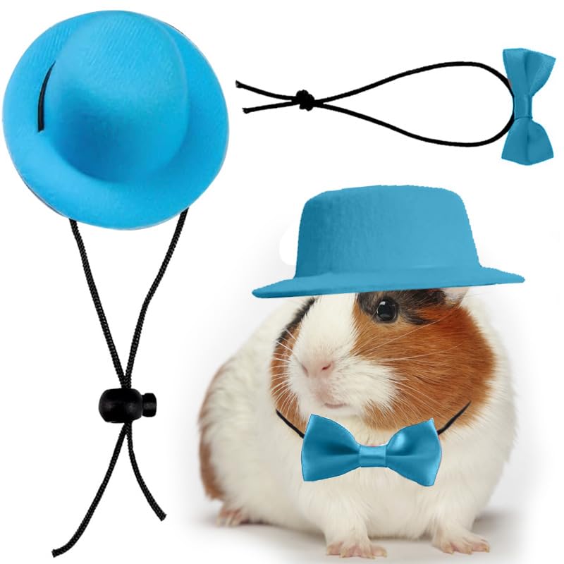 CQJ 2pcs Guinea Pig Clothes Small Animal Bow Tie Pet Hat Costume Set Role Play Cute Pet Hat Bow Tie for Hamster Guinea Pig Rabbit Chinchilla Hedgehog（Blue hat + blue bow tie）