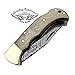 Walnut Wood 6.5'' Custom Handmade Damascus Steel Brass Bloster Back Lock Folding Pocket Knife 100% Prime Quality With Sharpening Rod Plus Real Buffalo Horn Stainless Steel Pocket Knive 