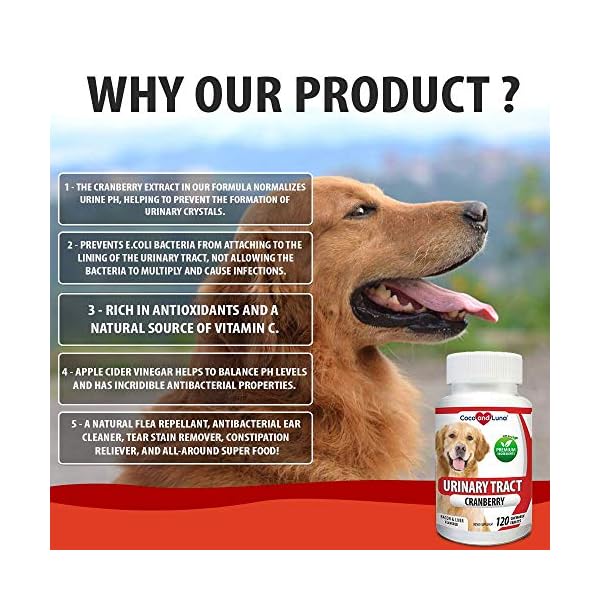 Cranberry for Dogs 120 Chewable Tablets Urinary Tract Support