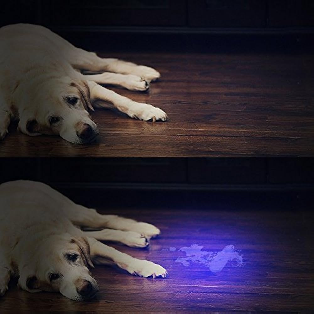 UV Flashlight Black Lights 51 LED Ultraviolet Blacklight Pet Urine