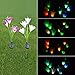 Solar Garden Lights Outdoor, 2 Pack Solar Powered Lights with 8 Lily Flower, Multi-Color Changing LED Solar Stake Lights for Garden, Patio, Backyard (Yellow/White) (Calla Lily（White.Purple）)